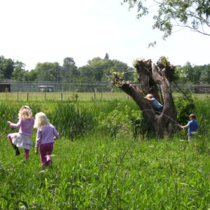 BSO cursus – inspiratie en verdieping in je werk op een antroposofische BSO, voor (gast)ouders en oppas(groot)ouders
